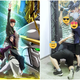 Illustration for article titled Thank iGundam/i For This Photo Memeem/em
